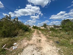 Terreno en venta en nueva xcorazon Valladolid Yucatán