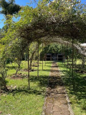 RANCHO ACAXOCHITLÁN, HIDALGO, A 2KMS DE LA CARRETERA