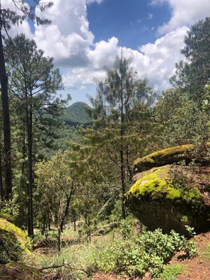 Terreno de lujo en Tapalpa