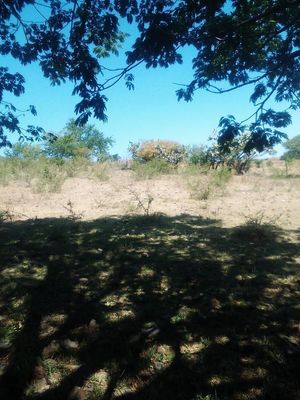 TERRENO RUSTICO JUNTO AL POBLADO DE TUXCUECA JALISCO