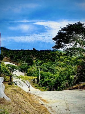 Venta de Departamentos y Lotes Residenciales en Punta de Mita