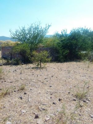 TERRENO RUSTICO JUNTO AL POBLADO DE TUXCUECA JALISCO