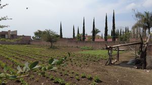 TERRENO EN VENTA COMPLETO, EN SAN MARTIN DE LAS FLORES