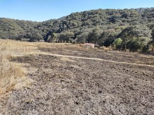 Terreno en venta de 8,000 m2 en Cañada de Onofres, Isidro Fabela, Edo Méx