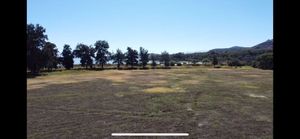 terreno en villa corona,  pegado a la laguna