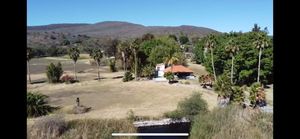 terreno en villa corona,  pegado a la laguna