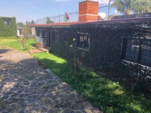 Bodega en Renta en Santa Maria Tepepan Xochimilco