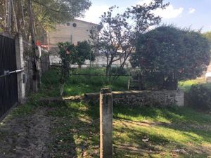 Bodega en Renta en Santa Maria Tepepan Xochimilco