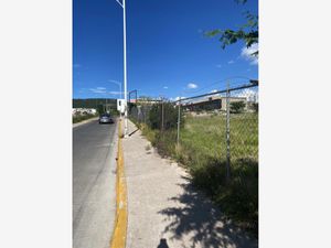 Terreno en Renta en Paseos del Pedregal Querétaro