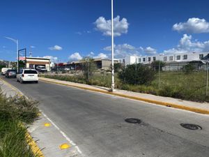 Terreno en Renta en Paseos del Pedregal Querétaro