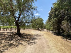 Terreno en Venta en Santa Clara Dolores Hidalgo Cuna de la Independencia Nacional