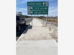 Terreno en Renta en San Vicente Ferrer El Marqués