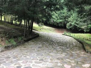 Finca/Rancho en Venta en San Miguel Ajusco Tlalpan