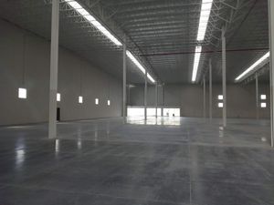 Nave Industrial en Renta - Escobedo Libramiento Noreste