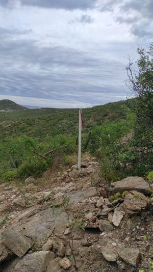 Terreno  Rustico Pescadero