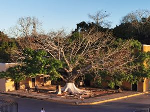 Lotes urbanizados a 15 minutos de Izamal