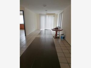 Casa en Venta en Real Del Sur Centro