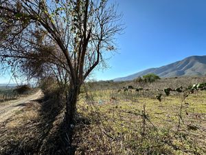 Terreno en venta en Ixtlahuacán de los Membrillos