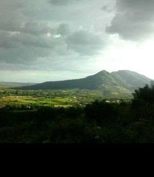 SE VENDÉ TERRENO EN “VISTA DIAMANTE” EN LA TOMATINA