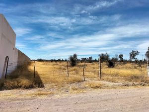 SE VENDE 3 HECTAREAS DE TERRENO A PIE DE CARRETERA RUMBO A EDEN