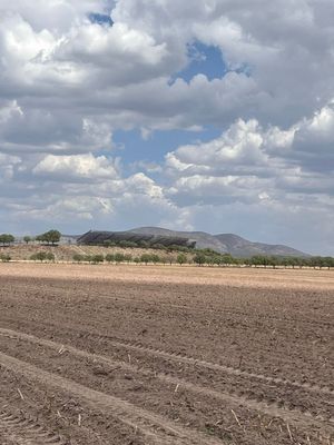 VENTA DE TERRENO INDUSTRIAL