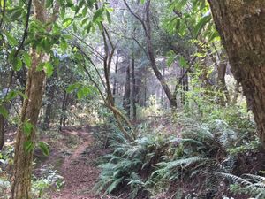 HERMOSO TERRENO EN HUIXQUILUCAN, LA MARQUESA