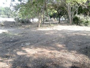 Terreno en Venta Ticumán, Morelos.