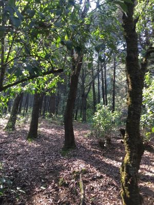 HERMOSO TERRENO EN HUIXQUILUCAN, LA MARQUESA