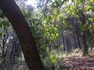 HERMOSO TERRENO EN HUIXQUILUCAN, LA MARQUESA