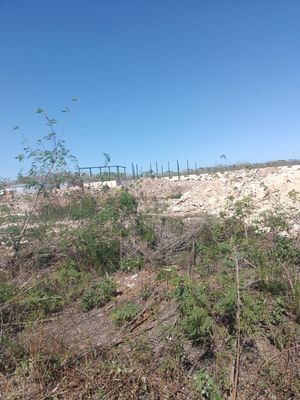 Terreno a pie de carretera en Hunucmá, Mérida, Yucatan.