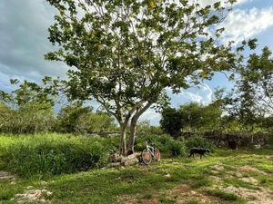 Venta Casa con Terreno entrando a Dzemul, Yucatán