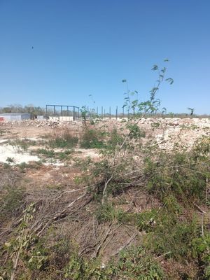 Terreno a pie de carretera en Hunucmá, Mérida, Yucatan.