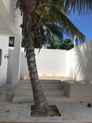 Casa en Renta amueblada en Chicxulub Puerto, Progreso Yucatán.