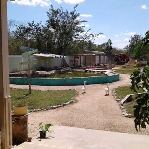 Se vende Granja ubicada en Tixkuncheil,Yucatán.