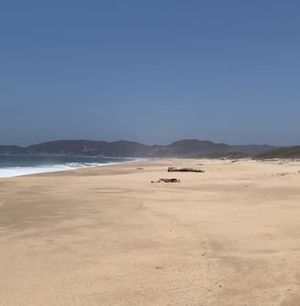 FRENTE AL MAR TERRENO A PIE DE PLAYA COSTA ALEGRE JALISCO