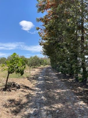 TERRENO RÚSTICO EN VENTA EN SANTA CRUZ DEL ASTILLERO