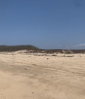 FRENTE AL MAR TERRENO A PIE DE PLAYA COSTA ALEGRE JALISCO