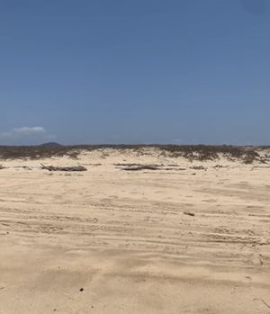 FRENTE AL MAR TERRENO A PIE DE PLAYA COSTA ALEGRE JALISCO