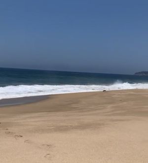 FRENTE AL MAR TERRENO A PIE DE PLAYA COSTA ALEGRE JALISCO