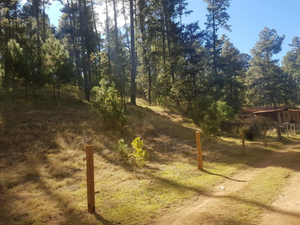 OPORTUNIDAD  TERRENO EN VENTA EN TALPA A PIE DE CARRETERA