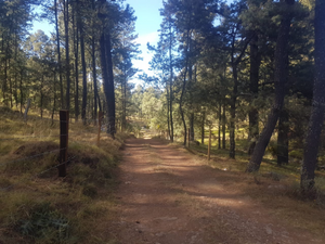 OPORTUNIDAD  TERRENO EN VENTA EN TALPA A PIE DE CARRETERA