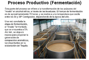 EXCELENTE OPORTUNIDAD TEQUILERA A LA VENTA INVERSIONISTAS.