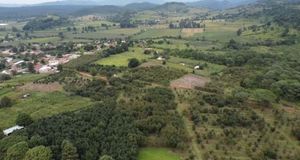 PRECIOSO TERRENO EN VENTA EN CHIQUILISTLAN, JAL. ZONA ARBOLADA.