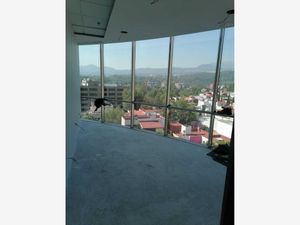 Oficina en Renta en Popular Santa Teresa Tlalpan