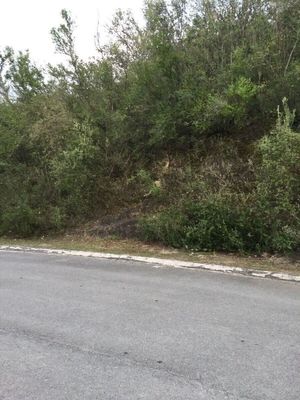 Terreno en VENTA en Sierra Alta en Carretera Nacional, en  Nuevo León