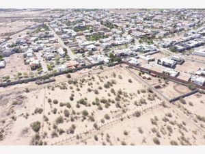 Terreno en Venta en La Concha Torreón