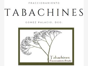 Terreno en Venta en Tabachines Gómez Palacio