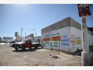 Terreno en Venta en Hortensias Gómez Palacio