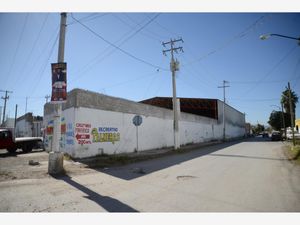 Terreno en Venta en Hortensias Gómez Palacio