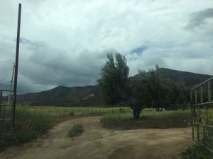 Propiedad en  El Provenir, en Valle de Guadalupe